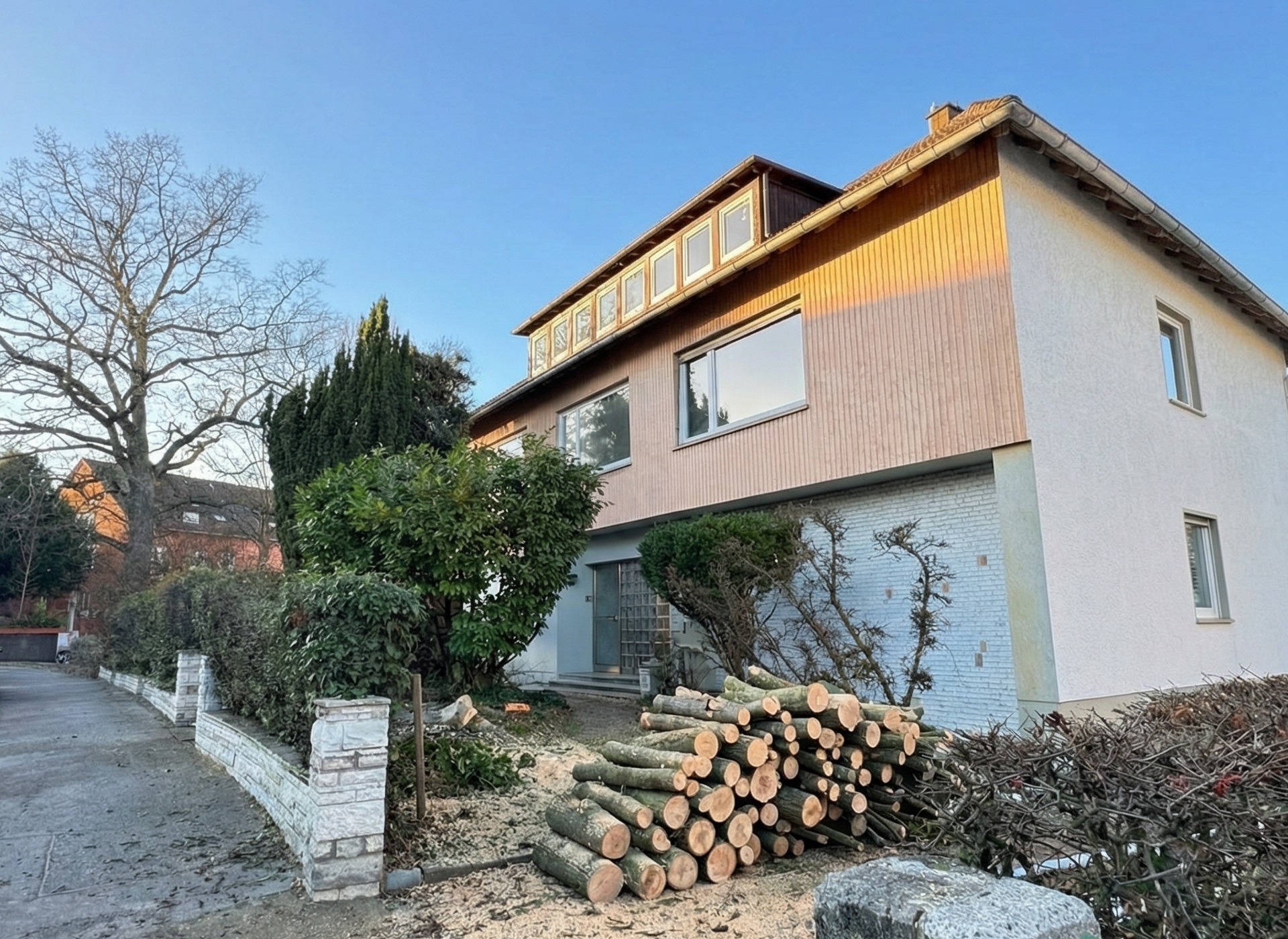 Arbeitsplatz aufräumen nach dem Baum mit Seilklettertechnik gefällt wurde.